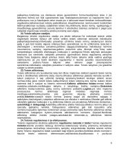 Teisės teorijos ir moralė 9 puslapis