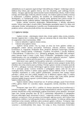 Ugdymo samprata ir mokslas 2 puslapis