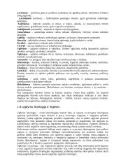 Ugdymo samprata ir mokslas 11 puslapis