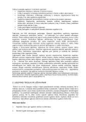 Ugdymo samprata ir mokslas 12 puslapis