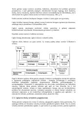 Ugdymo samprata ir mokslas 19 puslapis