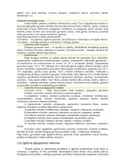 Ugdymo samprata ir mokslas 8 puslapis