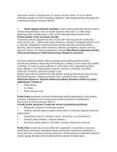 Užsienio prekybos reguliavimo priemonės 6 puslapis