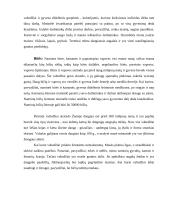 Vabzdžių rūšys 2 puslapis