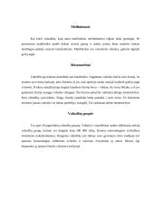 Vabzdžių rūšys 7 puslapis