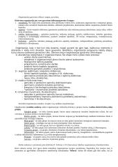 Vadyba, jos ištakos 12 puslapis