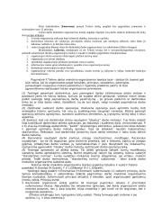 Vadyba, jos ištakos 14 puslapis