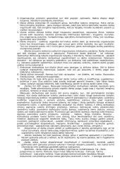 Vadyba, jos ištakos 15 puslapis