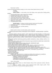 Vadyba, jos ištakos 16 puslapis