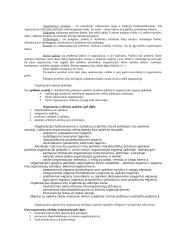 Vadyba, jos ištakos 17 puslapis