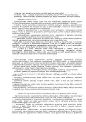 Vadyba, jos ištakos 20 puslapis