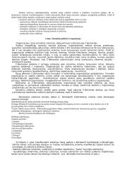 Vadyba, jos ištakos 3 puslapis