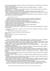 Vadyba, jos ištakos 4 puslapis