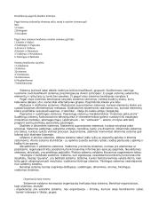 Vadyba, jos ištakos 5 puslapis