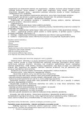 Vadyba, jos ištakos 6 puslapis