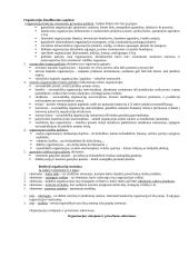 Vadyba, jos ištakos 10 puslapis