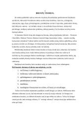 Vadyba - vadovavimas 2 puslapis