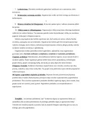 Vadyba - vadovavimas 11 puslapis