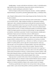 Vadyba - vadovavimas 12 puslapis