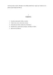 Vadyba - vadovavimas 15 puslapis