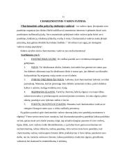 Vadyba - vadovavimas 4 puslapis