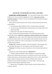 Vadyba - vadovavimas 9 puslapis