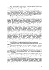 Vadybos raida integracijos ir globalizacijos laikotarpiu 2 puslapis