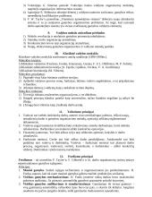 Vadybos pagrindai - įvairios vadybos teorijos 3 puslapis