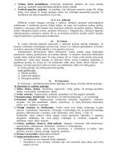 Vadybos pagrindai - įvairios vadybos teorijos 4 puslapis