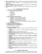 Vadybos pagrindai - įvairios vadybos teorijos 5 puslapis