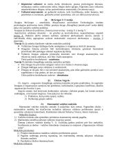 Vadybos pagrindai - įvairios vadybos teorijos 7 puslapis