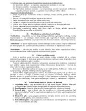 Vadybos pagrindai - įvairios vadybos teorijos 9 puslapis