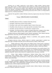 Vadybos strategija 2 puslapis