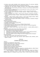 Vadybos strategija 11 puslapis