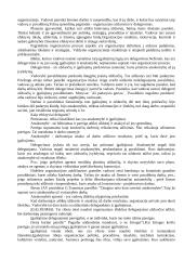 Vadybos strategija 12 puslapis