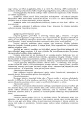 Vadybos strategija 13 puslapis