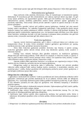 Vadybos strategija 14 puslapis