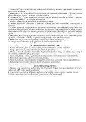 Vadybos strategija 15 puslapis