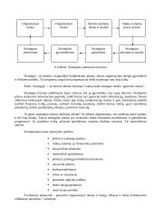 Vadybos strategija 3 puslapis