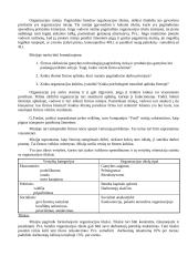 Vadybos strategija 4 puslapis