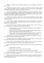 Vadybos strategija 5 puslapis