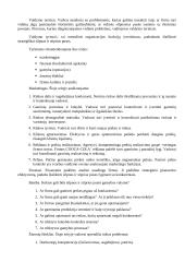 Vadybos strategija 6 puslapis