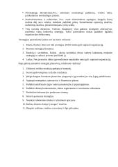 Vadybos strategija 8 puslapis