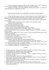 Vadybos strategija 10 puslapis