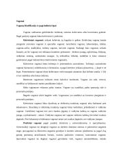 Vagonai ir lokomotyvai