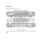 Vagonai ir lokomotyvai 16 puslapis