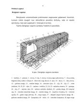 Vagonai ir lokomotyvai 6 puslapis