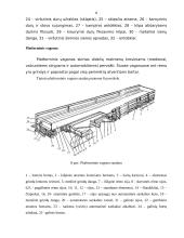Vagonai ir lokomotyvai 8 puslapis