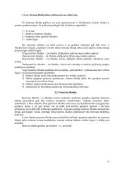 Valdymo apskaita - plati teorija 14 puslapis