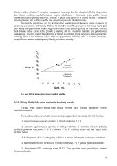 Valdymo apskaita - plati teorija 20 puslapis